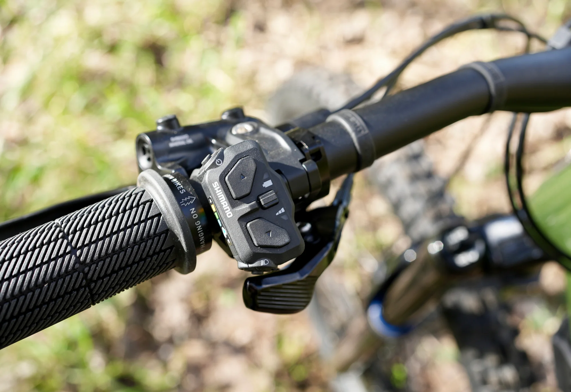 2024 Alpine Trail E2 (Shimano INT) - Image 2