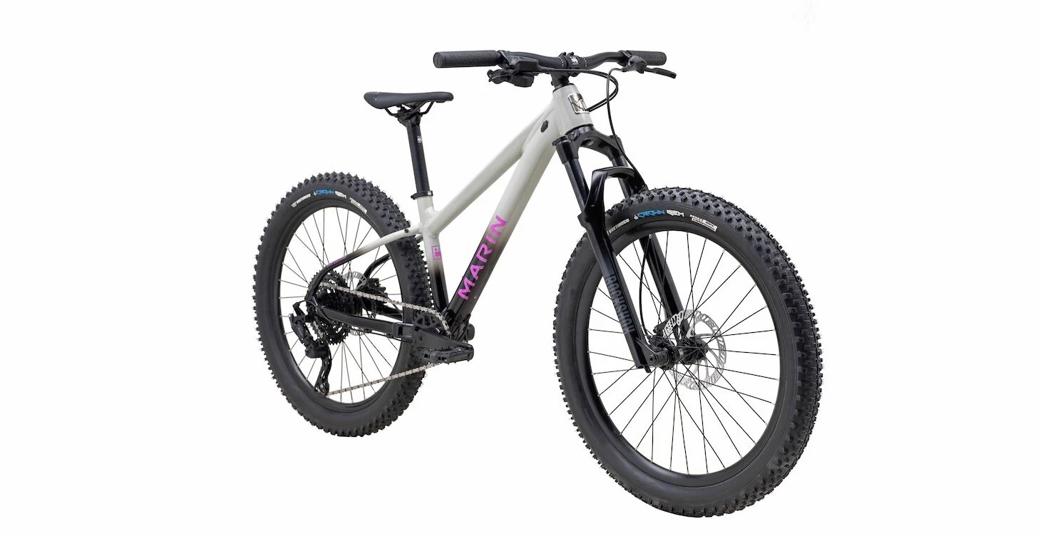 2025 San Quentin 24" - Image 3